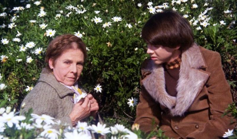 Harold and Maude (1971, Hal Ashby)